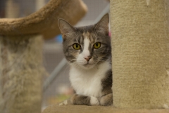 web_-190209-111715_6D_6092_01