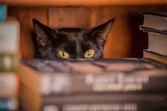 web_-190406-145525_6D_0212_01-Edit