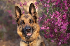 web_-190928-073442_6D_5923_01-Edit