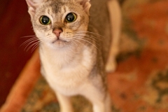 web_-201221-171218_6D_2756_01