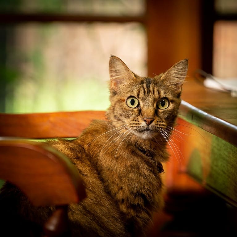 126398978_991639804659176_5822263910868346106_n_17847135155433836