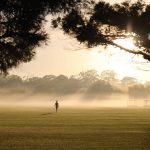 182778936_494195841733328_7211086681891442996_n_17944400143476177